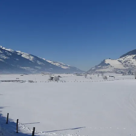 In In Area With Sauna Piesendorf