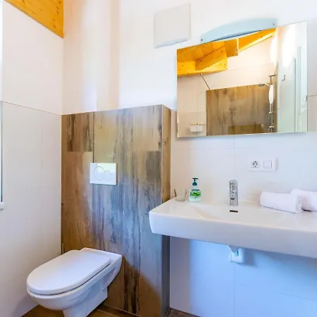 In In Area With Sauna Daire Piesendorf