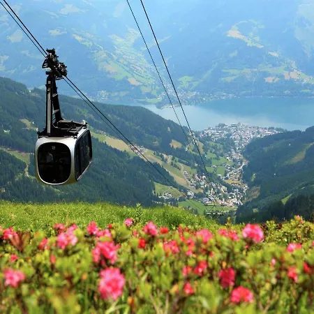 In In Area With Sauna